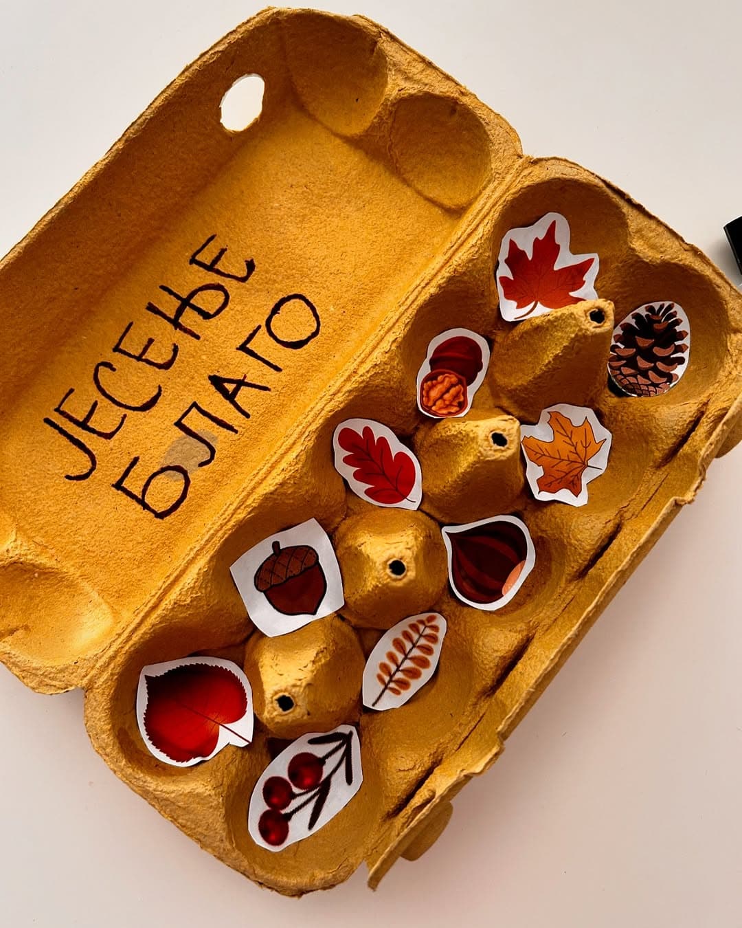 Jesenja potraga za blagom sa kartonima od jaja